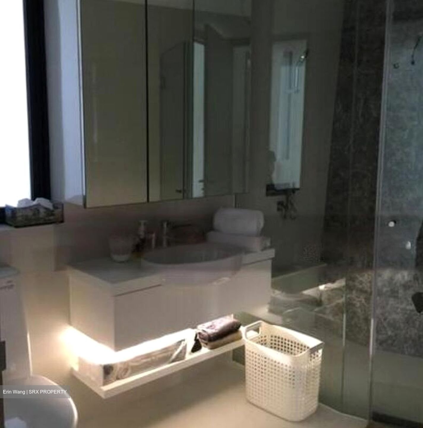 D'Leedon (D10), Condominium #457216061